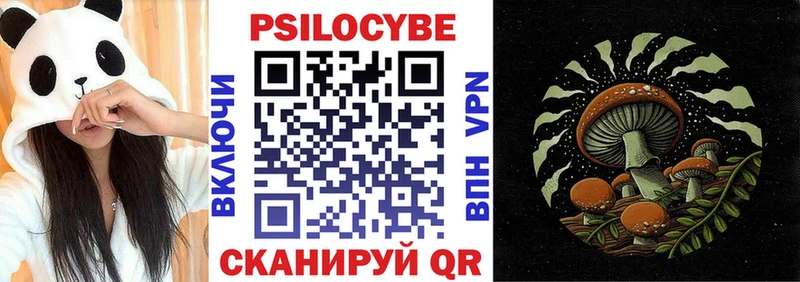 Псилоцибиновые грибы GOLDEN TEACHER  Купить где  Тихорецк 