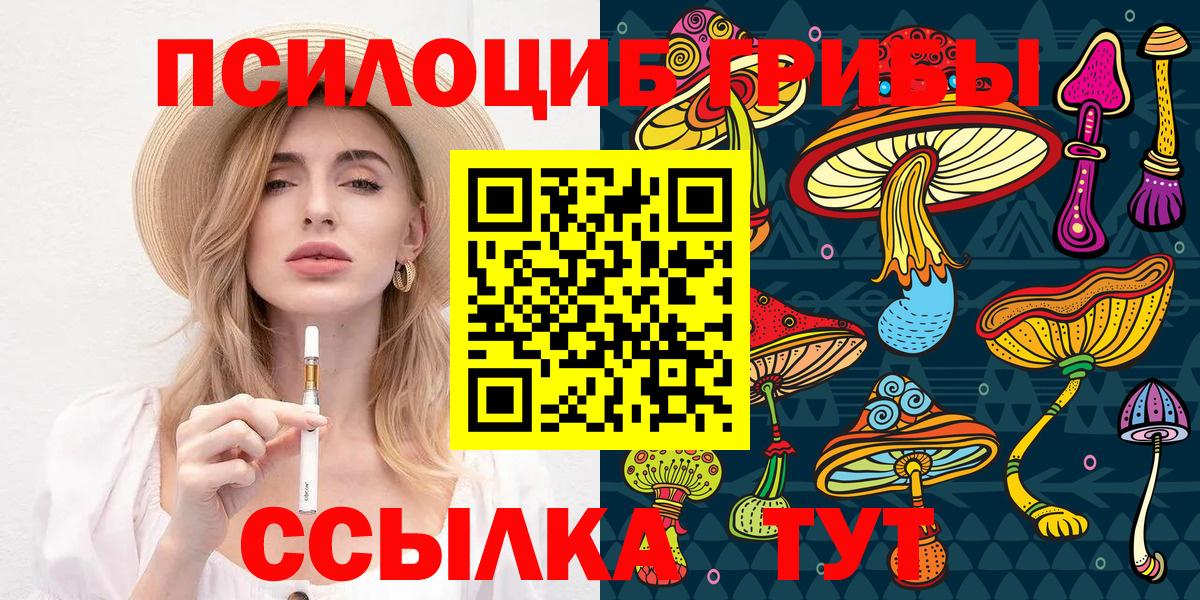 хочу   Вход с VPN  Тихорецк  Псилоцибиновые грибы Cubensis 