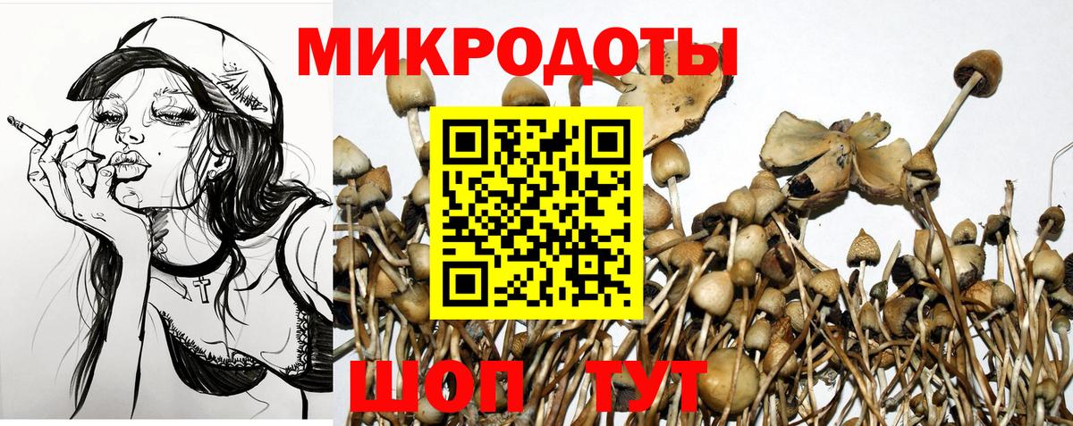 Галлюциногенные грибы GOLDEN TEACHER Тихорецк