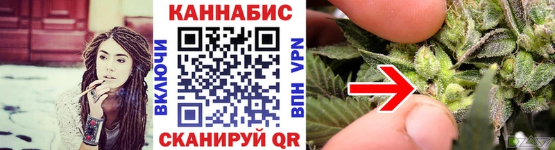 МАРИХУАНА план  Купить  Тихорецк 